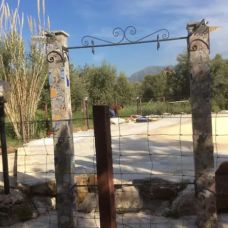 Le Di Lilli Pitti Nicolo E Raffaello Tatil Evi *