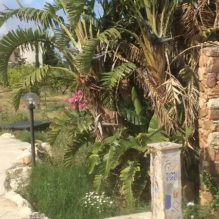 Le Di Lilli Pitti Nicolo E Raffaello Trappeto (Sicily)